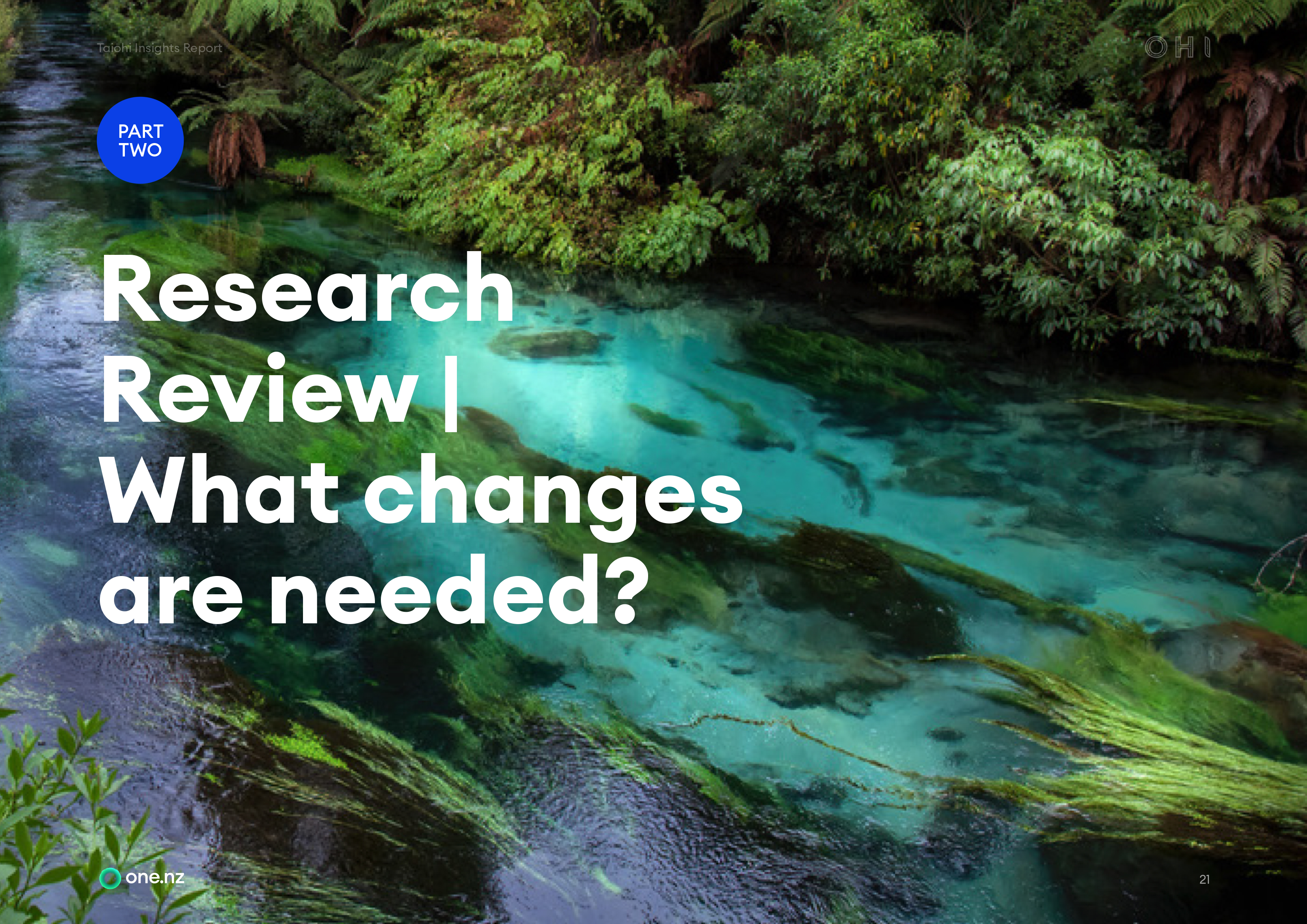 One.nz Research Review report cover